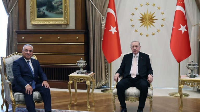 Cumhurbaşkanı Erdoğan, DSP Genel Başkanı Aksakal’ı kabul etti