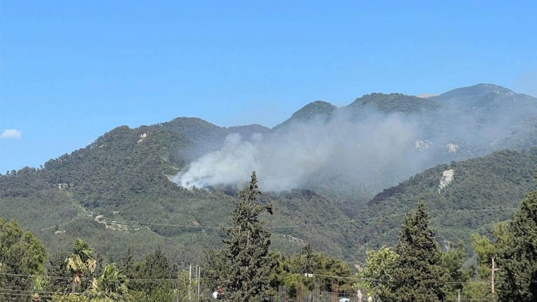 Hatay’daki orman yangınına ilişkin 1 gözaltı – Son Dakika Türkiye Haberleri