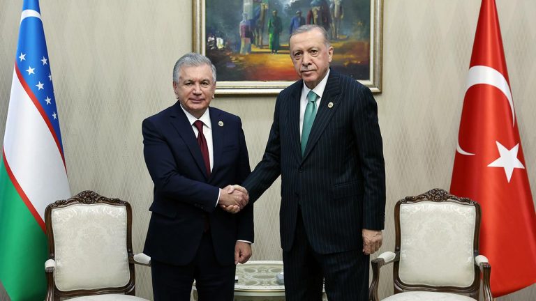 Cumhurbaşkanı Erdoğan, Özbekistan Cumhurbaşkanı Şevket Mirziyoyev ile görüştü