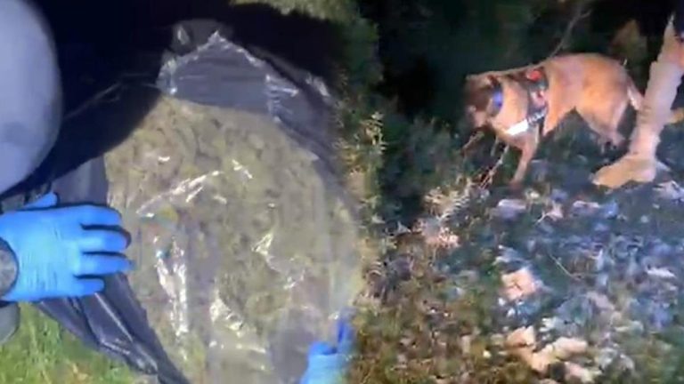 Yer: Muğla! Piyasa değeri 4 milyon TL olan uyuşturucu ele geçirildi